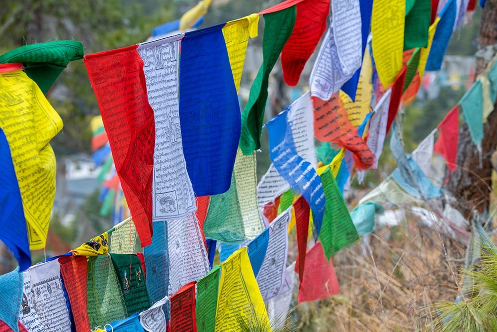 Bhutan-Thimphu Colorful prayer flags on mountain top at the Sangaygang Geodetic Station art print by Cindy Miller Hopkins for $57.95 CAD